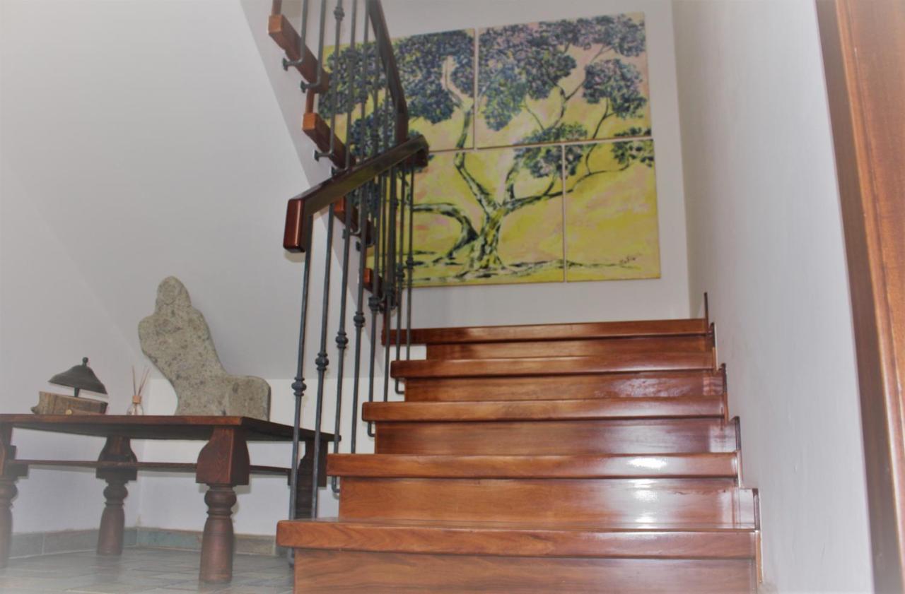 Maruru B & B Dell'Arte 시비타노바 마르셰 외부 사진